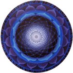 215437_208357305849281_122568111094868_782369_1684912_n